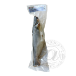 냉동 판가시우스 메기홀 800g